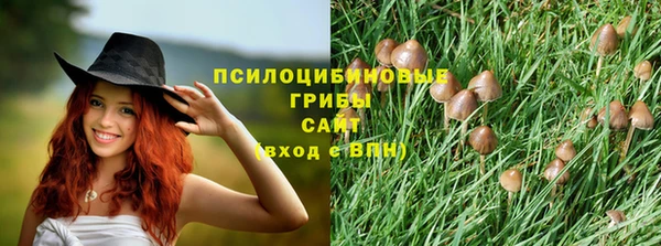 прущая мука Куйбышев