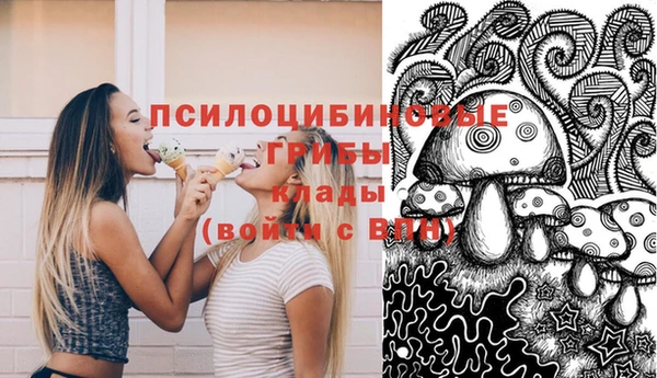 2c-b Лагань